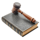 Constitution